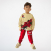 LEGO Technic Yarış Arabası Baskılı Takım