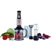 ARNİCA GH21593 Diva Trend El Blender Seti Rose