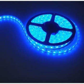 CATA 5 Metre 12 Volt 10 Çipli İç Mekan Mavi Işık Şerit Led (CT-4484)