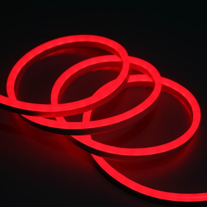 220 Volt Dış Mekan 4 Metre Jack Dahil Tak Çalıştır Kırmızı Işık Neon Led