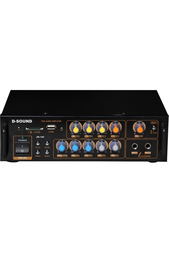 D-Sound Pa-100 Mixer Amplifier