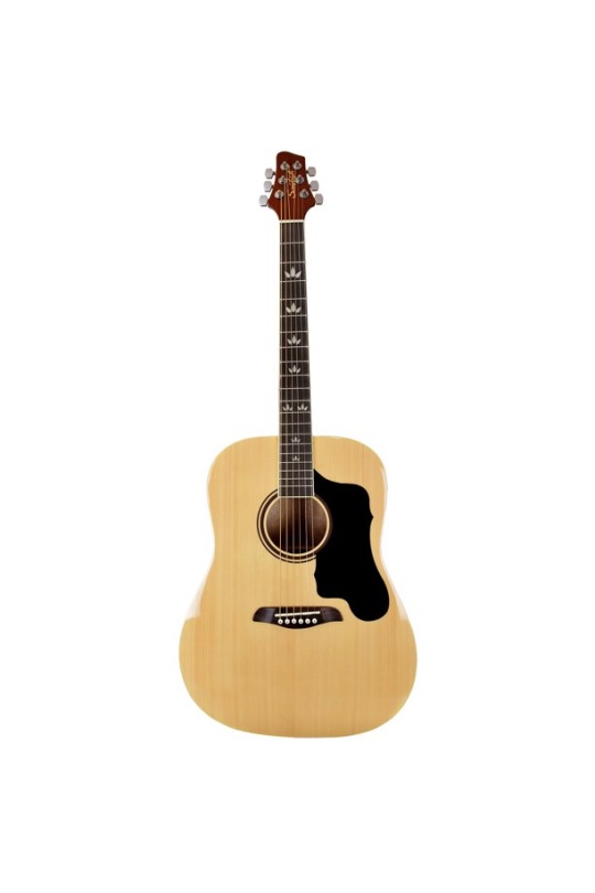 Sawtooth St-Adn-D Acoustic Guitar Spruce Top