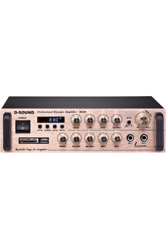 D-Sound Pa-200 Mixer Amplifier