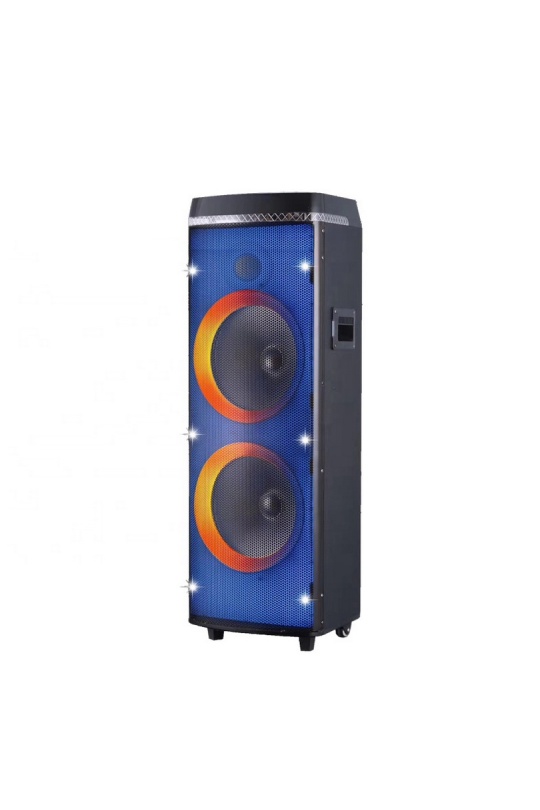 Gedi-2120 12 Inch 2 Mikrofonlu Taşınabilir Şarjlı Hoparlör