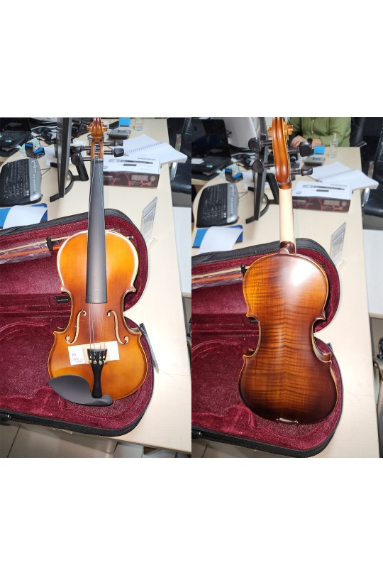 Müller Mv-144Mh Solid Ağaç Tam Boy Keman