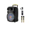 D-SOUND  XP-12PA TAŞINABİLİR HOPARLÖR