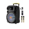 D-SOUND  XP-15PA 15 TAŞINABİLİR HOPARLÖR
