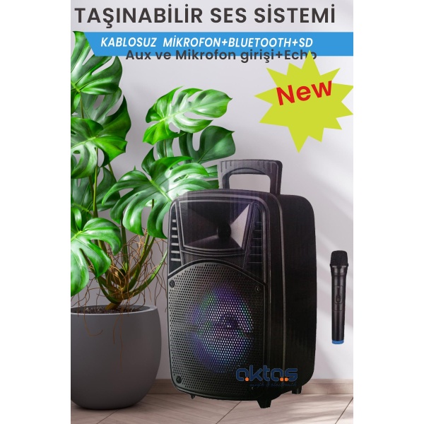 Smart Şarzlı Telsizli 8 Taşınabilir Ses Sistemi