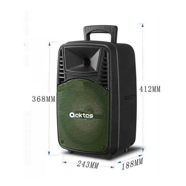 Smart Şarzlı Telsizli 8 Taşınabilir Ses Sistemi