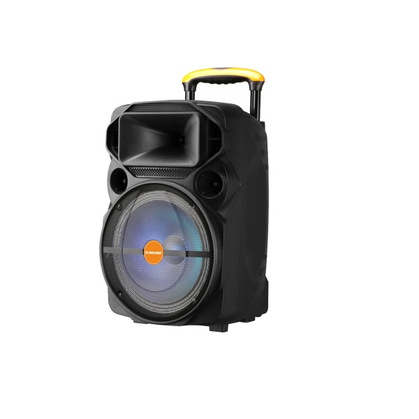 D-SOUND  XP-12PA TAŞINABİLİR HOPARLÖR