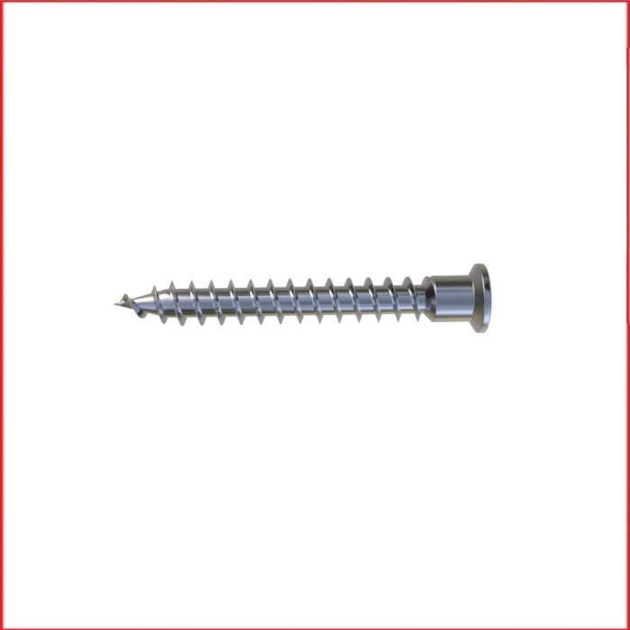Metal Galvaniz Kabin vidası (yıldız başlı sivri) Ø6,3x50mm 100 Adet Kargo bedava
