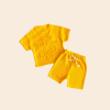 Ayıcık Desenli Sarı Bebek Takım | 6 - 24 Ay | Tshirt & Şort