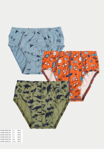 3lü Erkek Çocuk Desenli Slip - 1 - 6 Yaş