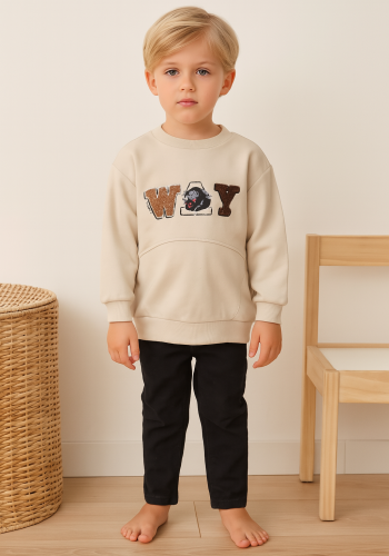 Erkek Çocuk Nakışlı Uzun Kollu Sweatshirt