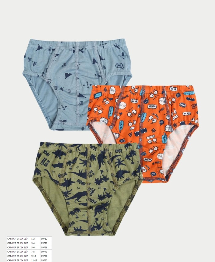 3lü Erkek Çocuk Desenli Slip -  1-6 Yaş