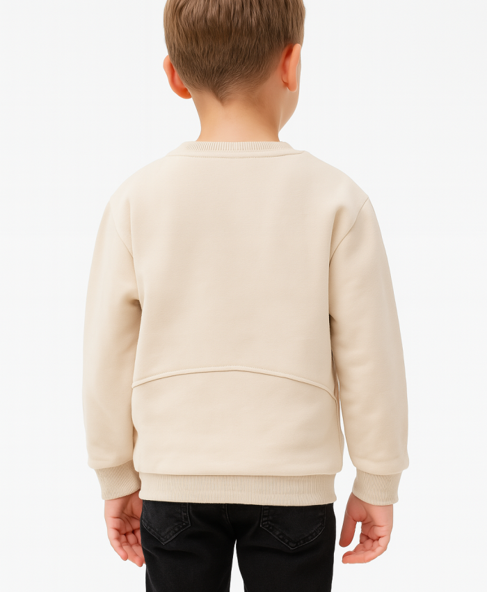Erkek Çocuk Nakışlı Uzun Kollu Sweatshirt