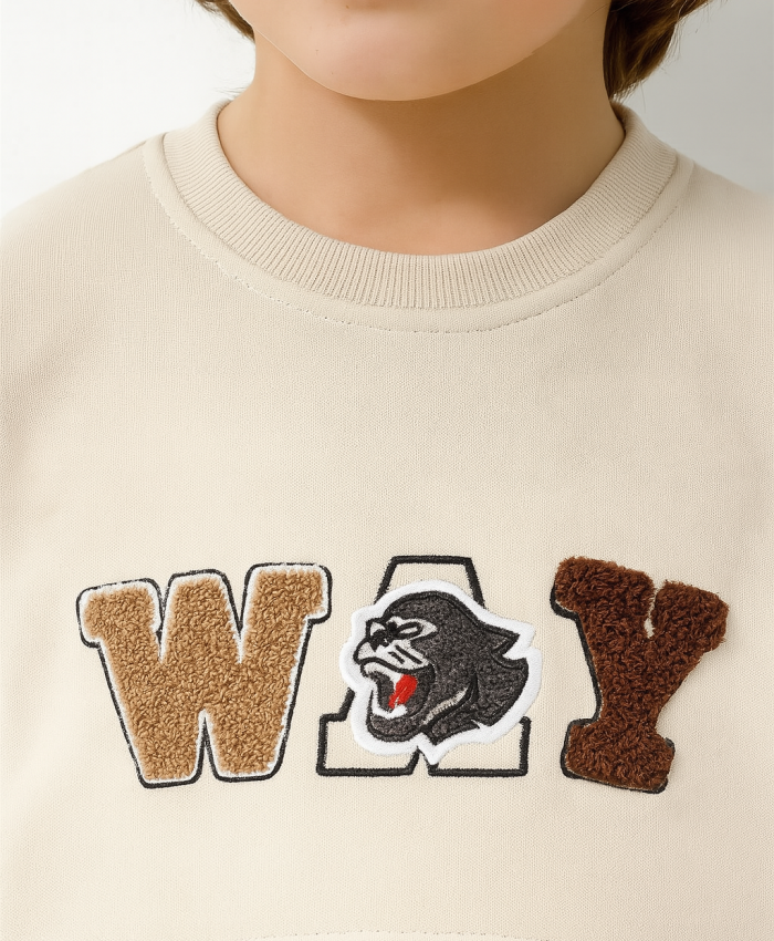 Erkek Çocuk Nakışlı Uzun Kollu Sweatshirt