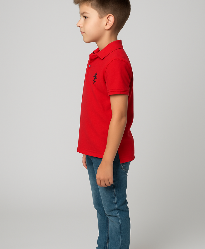 Erkek Kırmızı Düğmeli Polo Yaka Tişört