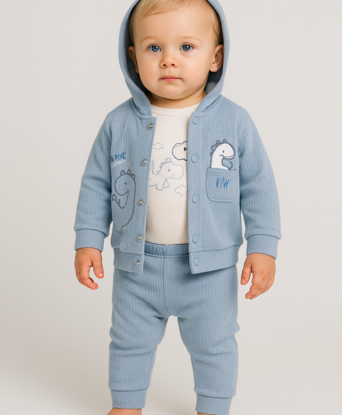 Erkek Bebek dinazor işlemeli kapşonlu zıbınlı 3lü takım