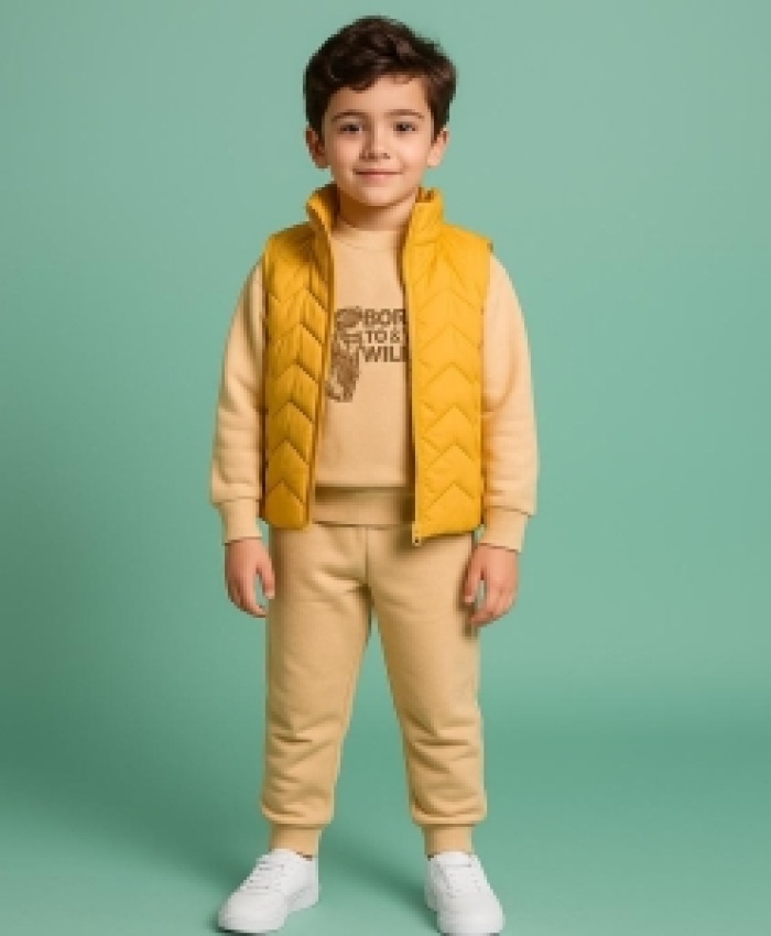 Erkek Çocuk kapitone yelekli 3 lü eşofman takım