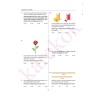 Yeni Müfredat Karekök Yayınları Güncel 8.Sınıf LGS Matematik Konu Anlatımı