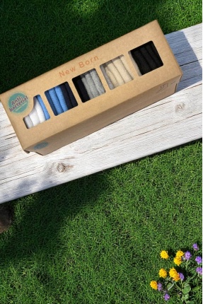Anti Bakteriyel 6lı Set Erkek Bebek ABS Kaydırmaz Pamuklu Bebek Çorabı - BCP0001