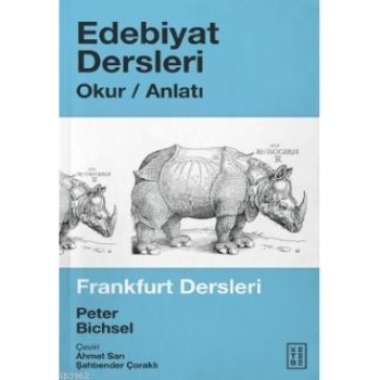 Edebiyat Dersleri; Okur - Anlatı