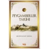 Peygamberler Tarihi - M. Necati Bursalı