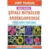 Şifalı Bitkiler Ansiklopedisi (Bitki-022); Taşların Sırları