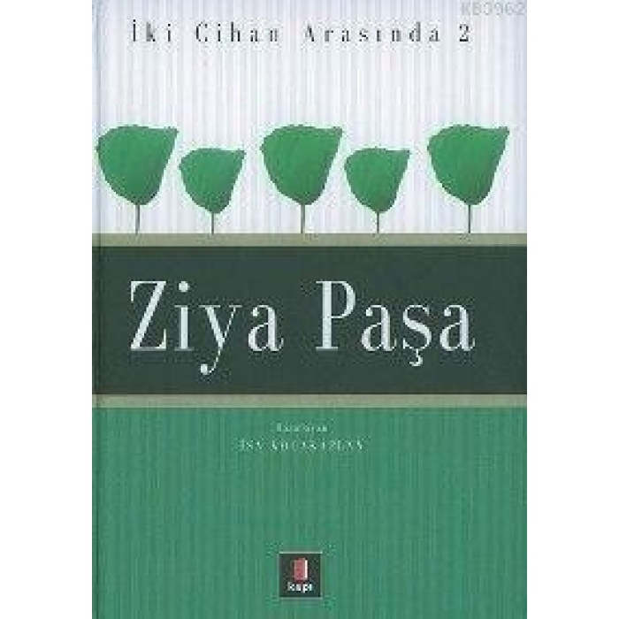 İki Cihan Arasında 2 - Ziya Paşa