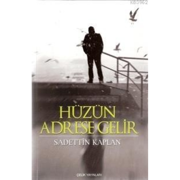 Hüzün Adrese Gelir