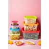 14 Parça Gökkuşağı Rainbow Saklama Kabı Seti | Erzak Yiyecek İçecek Renkli Kapaklı Saklama Kabı