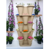5 Katlı Şanslı Yonca Kule Saksı Seti | Çiçek Bitki Sebze Meyve Salon Mutfak Banyo Bahçe Saksı Seti Bronz
