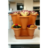 2 Katlı Şanslı Yonca Kule Saksı Seti | Çiçek Bitki Sebze Meyve Salon Mutfak Banyo Bahçe Saksı Seti Koyu Kahverengi