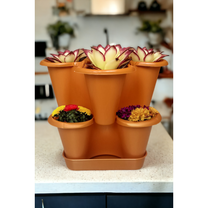 2 Katlı Şanslı Yonca Kule Saksı Seti | Çiçek Bitki Sebze Meyve Salon Mutfak Banyo Bahçe Saksı Seti Koyu Kahverengi
