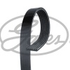 V Kayışı (GATES)(6PK1028)(AUDI SEAT SKODA VW FIAT NİSSAN)