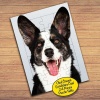 Sevimli Siyah Beyaz Tüylü Köpek Çocuklara Özel Puzzle Yapboz Tablo-73961