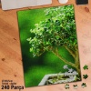Asil Hobi Minyatür ağaç -Naturel - Doğa - Tabiat Yapboz - Ayak Destekli Çerçeveli 240 Parça Puzzle