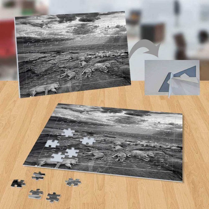 Siyah Beyaz Kaplanlar 99 Parça Puzzle Yapboz-p007