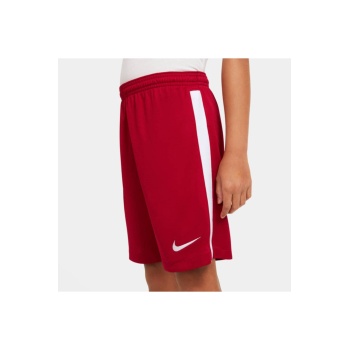 Nike Erkek Spor Şort AJ1235-657