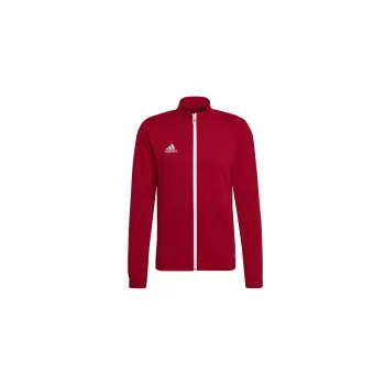 Adidas Entrada 22 Track Jacket Erkek Ceket H57537