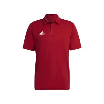 Adidas Entrada 22 Polo Erkek Polo Yaka Tişört