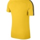 Nike Academy 18 Ss Top  T-shirt 893693-719