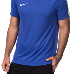 Nike Erkek T-shirt - M Nk Dry Acdmy Top Ss - 832967-452