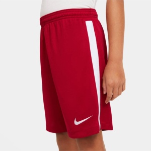 Nike Erkek Spor Şort AJ1235-657