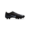 Nike Vapor 12 Academy FG/MG AH7375-001