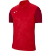 Nike Jersey Trophy Iv  Erkek Polo Yaka Tişört BV6725-657