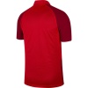 Nike Jersey Trophy Iv  Erkek Polo Yaka Tişört BV6725-657