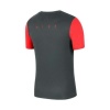 Nike M Dry Acdpr Top Erkek Tişört Bv6926-079