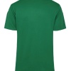UHLSPORT  Antrenman T-shirt Rıgel yeşil
